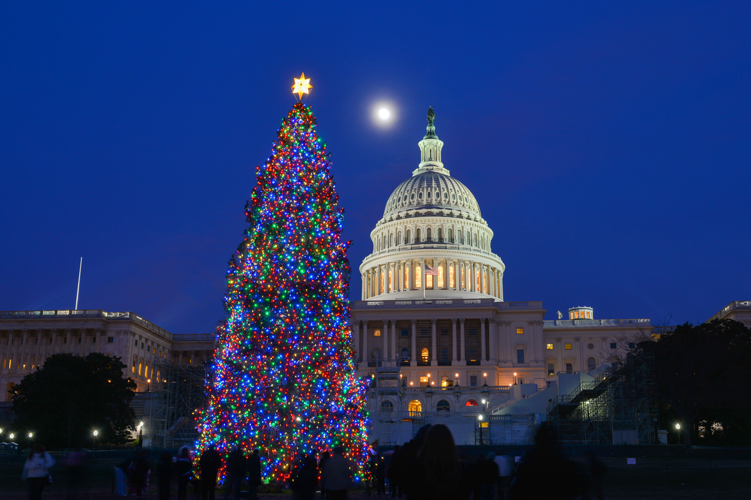 Washington DC Enchanting Holiday Lights Experience Beyond Times Square